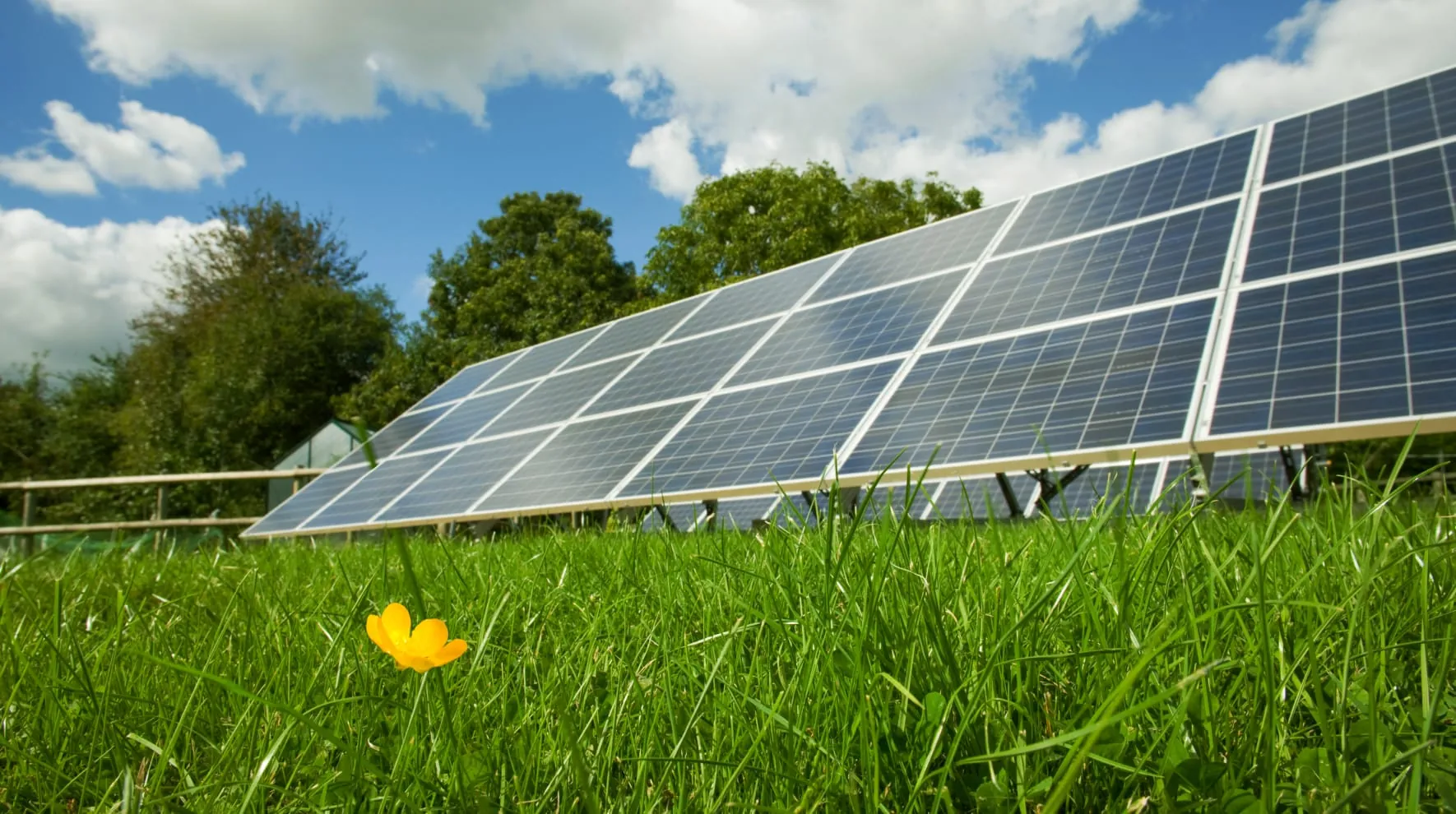 Solar panels in a green meadow under a blue sky